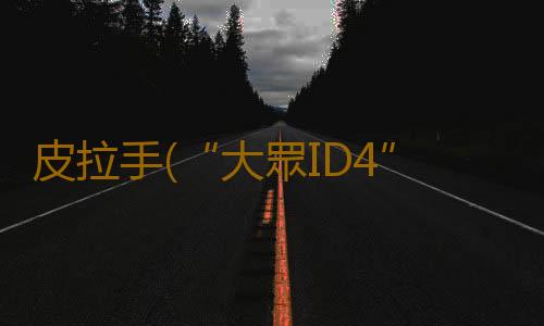 皮拉手(“大眾ID4”不到一月，已經發現四個問題)