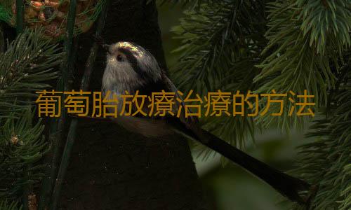 葡萄胎放療治療的方法